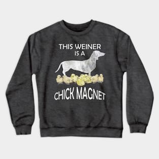 Dachshund Lover Cute Funny Doxie Quote This Weiner Is A Chick Magnet Crewneck Sweatshirt